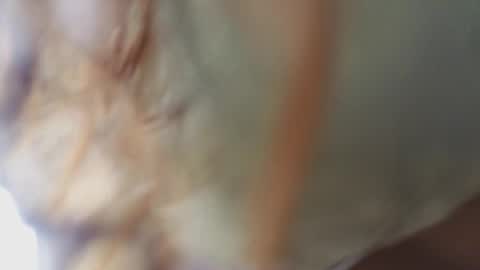 Snapshot of megann_9 chatting on February 2026 11:17:01 AM Megan online show from February 2026 11:17:01 AM