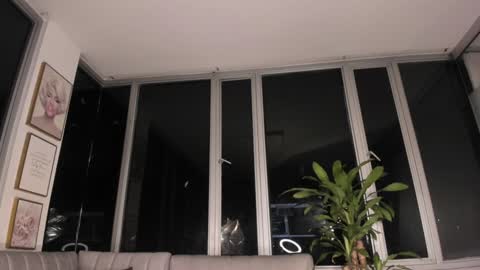 Snapshot of megann__sweet chatting on January 2025 10:42:01 AM Mara online show from January 2025 10:42:01 AM