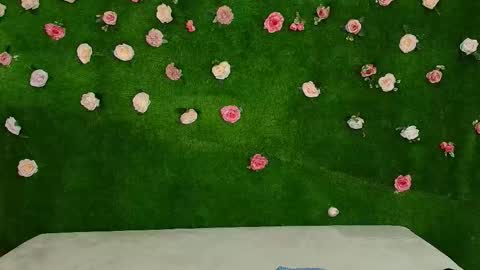 megatitts_ online show from February 2026 06:22:01 AM