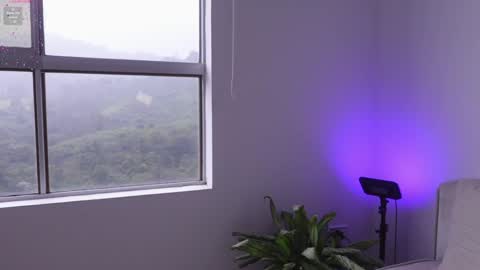 meiis3 online show from January 2025 09:05:02 PM