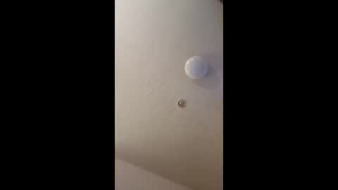 Snapshot of mel_hart_jr chatting on May 2026 07:09:02 PM mel_hart_jr online show from May 2026 07:09:02 PM