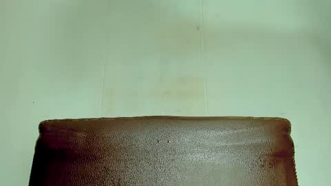 Snapshot of melania_browis chatting on June 2026 05:28:01 PM Melania online show from June 2026 05:28:01 PM