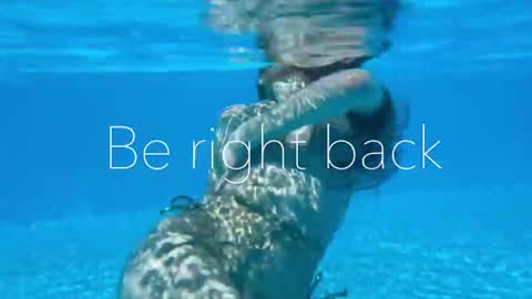 Adel online show from November 2025 02:40:02 PM