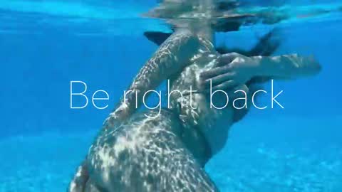 Adel online show from November 2025 04:17:02 PM