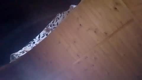 Snapshot of mellodiego760 chatting on October 2025 03:51:02 AM mellodiego760 online show from October 2025 03:51:02 AM