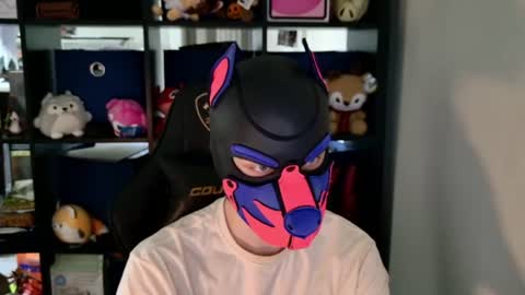 Snapshot of mellpup chatting on June 2026 06:28:02 PM MellPUP online show from June 2026 06:28:02 PM