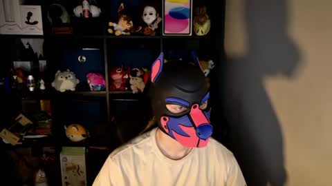 Snapshot of mellpup chatting on June 2026 11:23:01 AM MellPUP online show from June 2026 11:23:01 AM