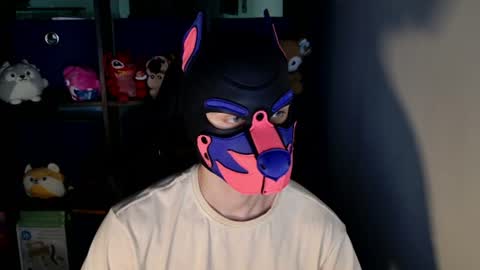 Snapshot of mellpup chatting on June 2026 11:46:01 AM MellPUP online show from June 2026 11:46:01 AM