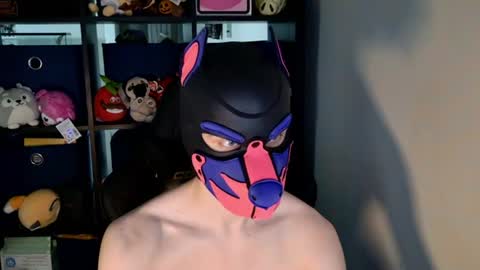 Snapshot of mellpup chatting on June 2026 03:15:02 PM MellPUP online show from June 2026 03:15:02 PM