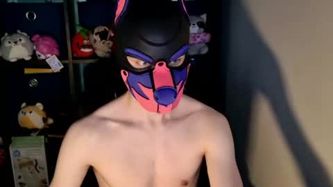 Snapshot of mellpup chatting on June 2026 12:15:01 PM MellPUP online show from June 2026 12:15:01 PM