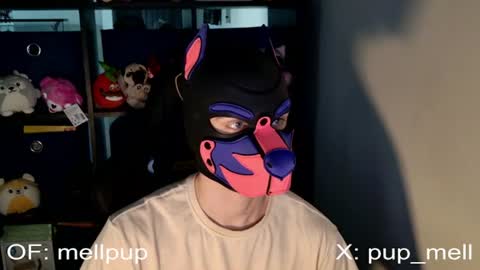 Snapshot of mellpup chatting on June 2026 01:04:01 PM MellPUP online show from June 2026 01:04:01 PM