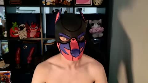 Snapshot of mellpup chatting on July 2026 06:13:02 PM MellPUP online show from July 2026 06:13:02 PM
