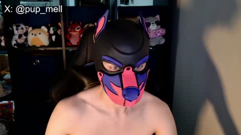 Snapshot of mellpup chatting on August 2026 03:47:02 PM MellPUP online show from August 2026 03:47:02 PM