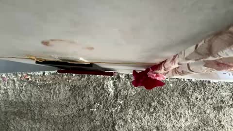 melodysnow online show from January 2026 06:31:01 PM