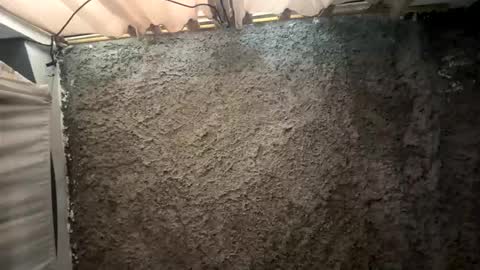 melodysnow online show from January 2026 06:11:02 PM