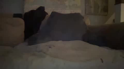 melt13 online show from January 2025 02:41:01 AM