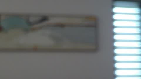 Snapshot of mencialo chatting on May 2026 04:39:02 AM Mencialo online show from May 2026 04:39:02 AM