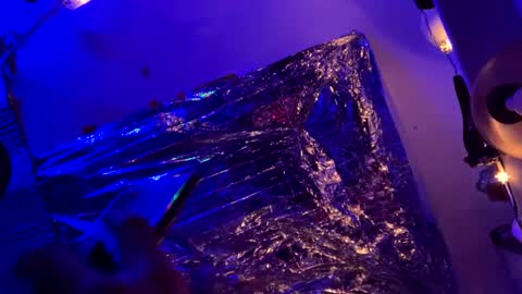 Snapshot of merelyalover chatting on February 2025 03:56:01 PM gurlnips online show from February 2025 03:56:01 PM