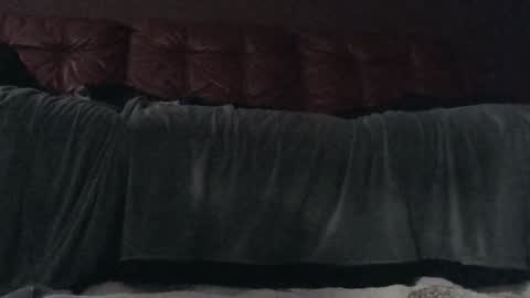 methorny online show from February 2025 07:57:02 AM