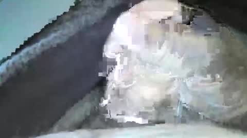 Snapshot of mexianthehawk chatting on September 2025 10:09:01 PM mexianthehawk online show from September 2025 10:09:01 PM