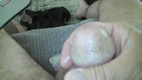 mexianthehawk online show from April 2026 04:52:02 AM