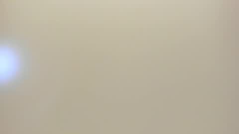    online show from January 2025 12:15:01 PM