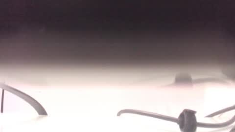    online show from January 2026 12:29:01 PM