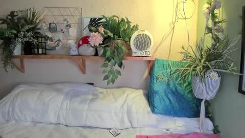 Snapshot of miaa_rose__ chatting on December 2024 07:12:01 AM Miaa online show from December 2024 07:12:01 AM