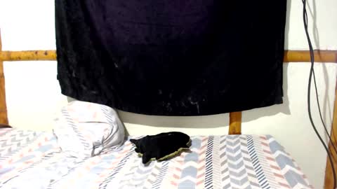 Mia  Sam online show from December 2025 04:01:01 PM