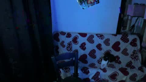 michael independent model  online show from April 2026 12:08:01 AM