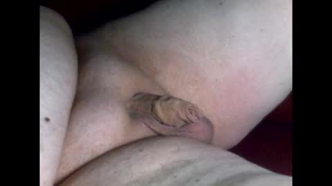 micropimmel online show from March 2026 08:24:01 PM