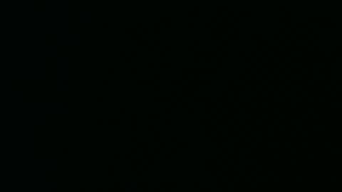 Snapshot of micwalrus chatting on March 2026 04:36:01 PM micwalrus online show from March 2026 04:36:01 PM