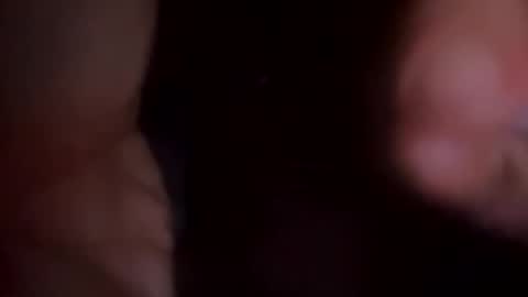 MR-Michael Horse online show from December 2024 09:00:01 AM