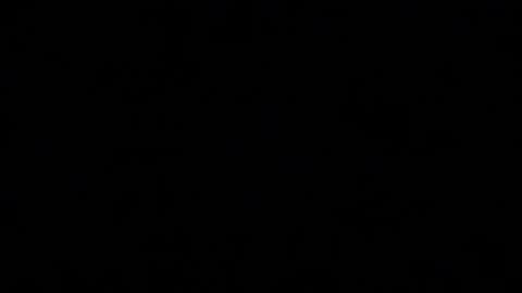 Mila online show from November 2025 02:16:02 PM