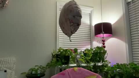 Snapshot of milf_goddess chatting on July 2026 02:36:02 AM MIlf Goddess online show from July 2026 02:36:02 AM