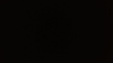 Rosalie  online show from September 2025 09:53:02 AM