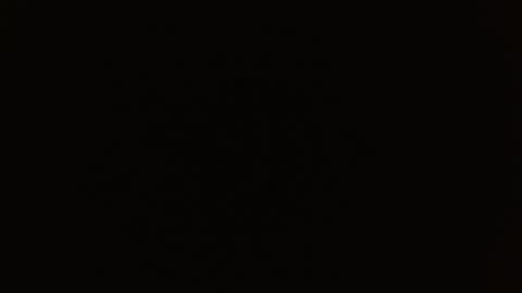 Rosalie  online show from December 2025 09:49:01 AM