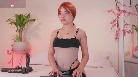    online show from January 2026 12:09:02 PM