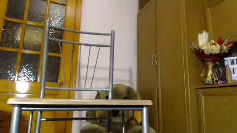 Snapshot of milk_and_hon3y chatting on December 2024 06:11:02 AM Im  to see you here Pvts are open  I love patterns soo much online show from December 2024 06:11:02 AM