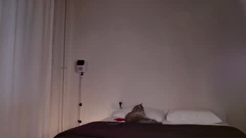 milky__way_ online show from October 2025 03:10:02 PM