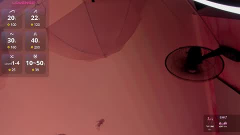 Ana Maria online show from February 2025 12:40:02 AM