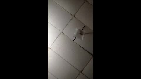 Snapshot of miloanj chatting on November 2025 04:45:02 AM miloanj online show from November 2025 04:45:02 AM