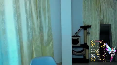 Snapshot of minefoxy2 chatting on December 2024 06:41:01 AM Amber online show from December 2024 06:41:01 AM