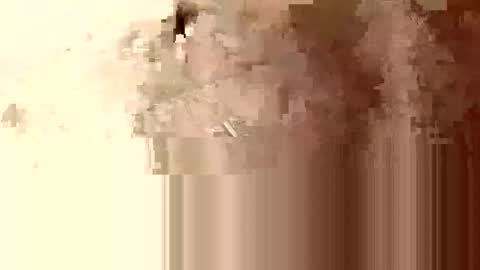 minniehunney online show from April 2026 08:24:01 AM