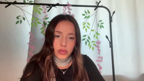 Snapshot of mipsymipson chatting on June 2026 10:41:02 AM NEXT STREAM NOVEMBER 27282930 online show from June 2026 10:41:02 AM