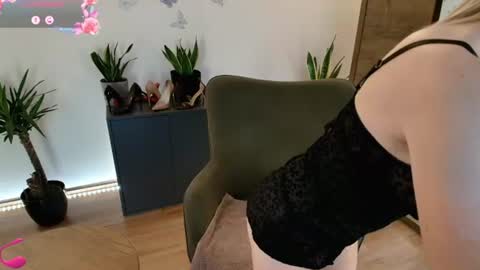 Snapshot of mirela_silver chatting on August 2026 03:16:01 AM Mirela online show from August 2026 03:16:01 AM