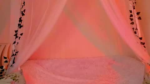 Misha online show from December 2024 02:11:02 PM