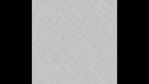 Misa online show from December 2024 10:21:01 AM