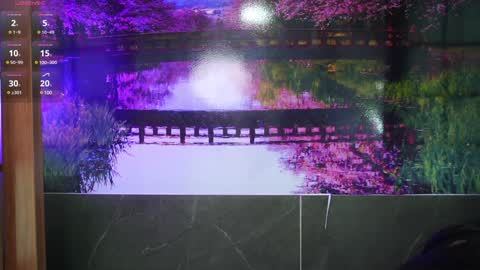 Ally online show from January 2025 12:05:01 AM