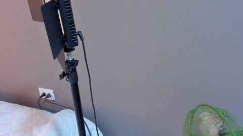 daniela online show from October 2025 01:31:01 AM